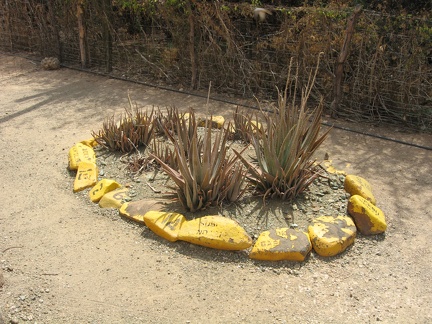 Flower Bed Surrounded by Rocks Used to Mark Dive Sites